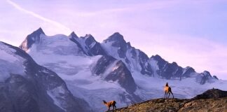 Jak przygotować się do trekkingu? Jak przygotować się do trekkingu?