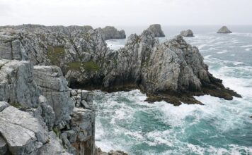 Kto może zostać celnikiem?