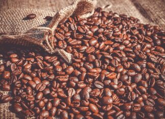 Czy fasola z puszki ma witaminy?