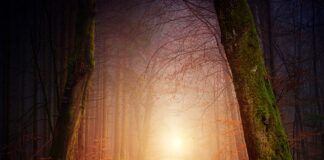 Jakie oświetlenie do laptopa?