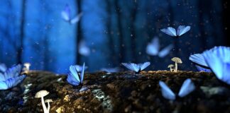 Jak zachować naturalny kolor drewna?