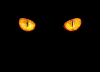 Jaka barwa światła do lampki na biurko?