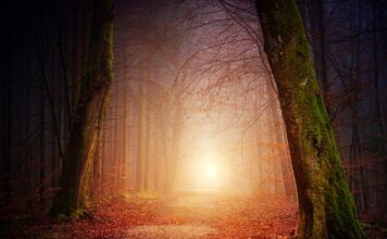 Czy robić oświetlenie w podbitce?