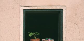 Jak podlewać kwiaty w gąbce florystycznej?