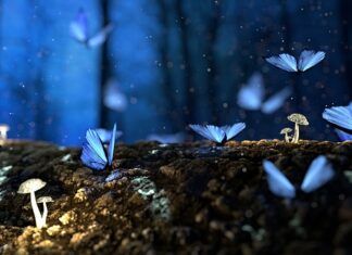 Czym pomalować stare drewno?