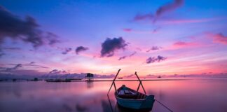 Jaki kolor światła do czytania?