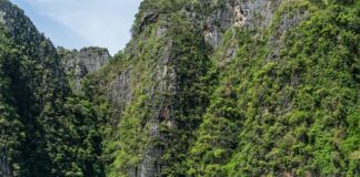 Jakie lampy nad wyspę?