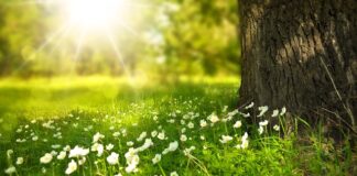 Jakie światło nad stół jadalniany?