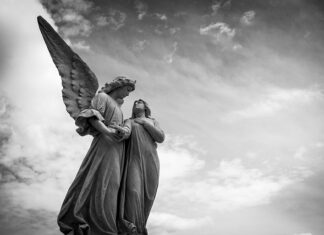 Jakie kwiaty na cmentarz jesienią?